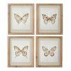 butterfly-framed-print