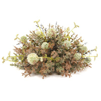 Cream Pincushion Flower