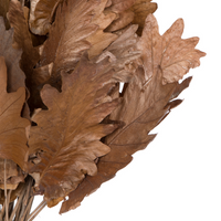 Oak Leaf Stems 20"