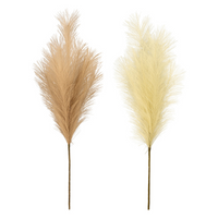 Feather Grass Pick