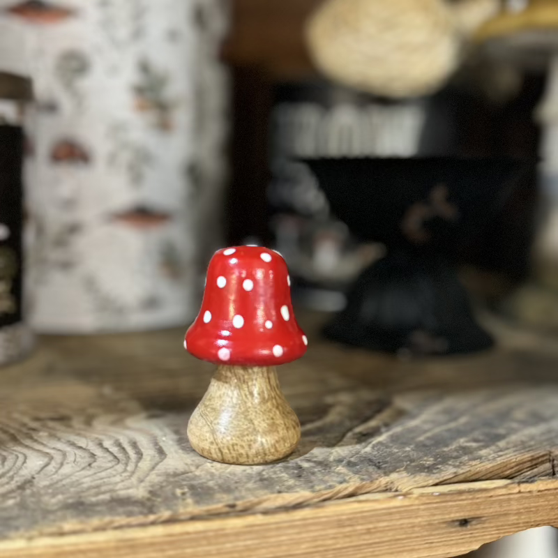 mini-wood-mushroom