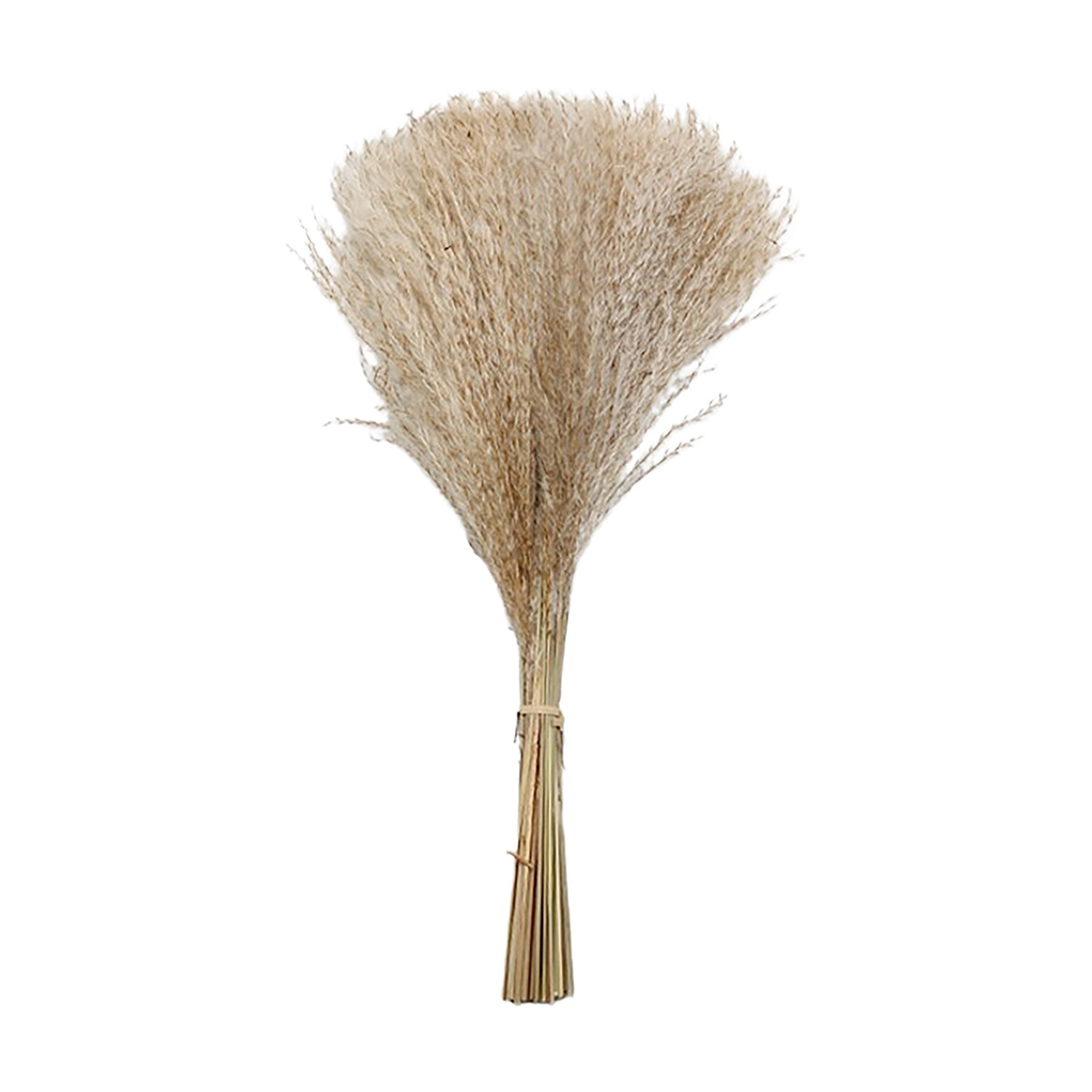 Natural Whisk Grass Bunch