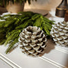 Pinecone Taper Holder