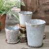 Rustic Tin Planter