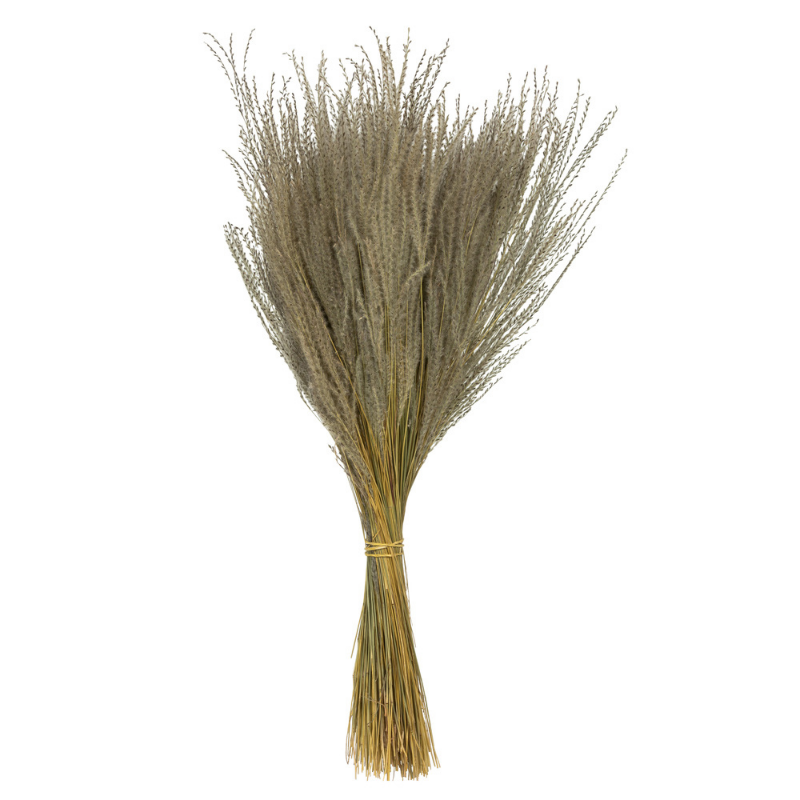Natural Snowdrop Grass