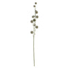 Tall Pom Pom Spray