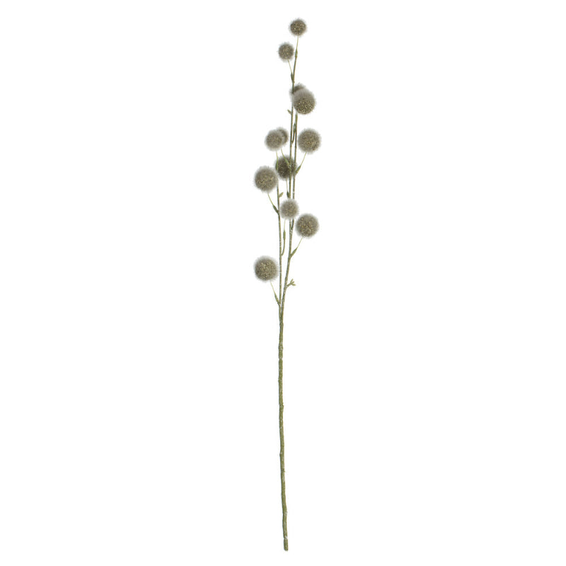 Tall Pom Pom Spray