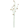 Tall Pom Pom Spray