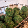 Moss Ball