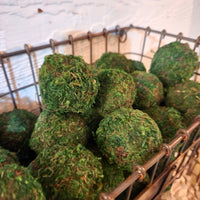 Moss Ball