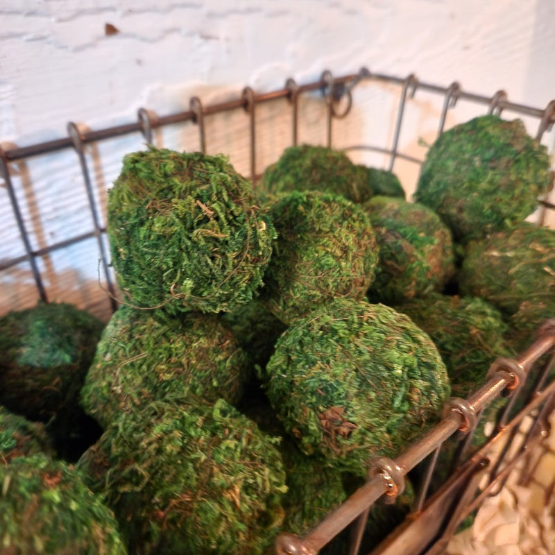 Moss Ball