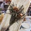Autumn Banksia Bundle