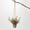 Hanging Succulent Pot*