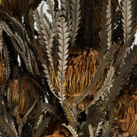 Autumn Banksia Bundle