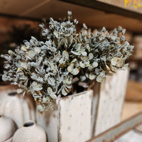 Green Eucalyptus Bundle