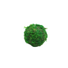 Moss Ball