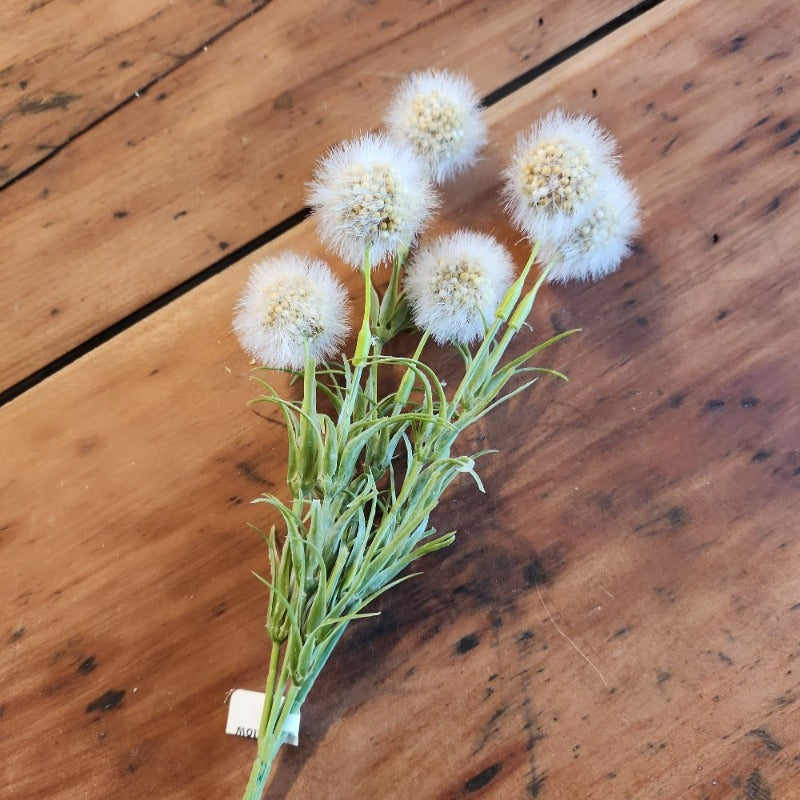 pom pom bush pick